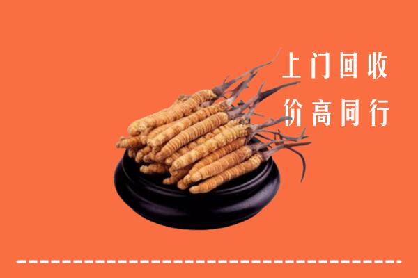 高价求购：雅安回收散虫草