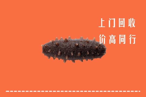 高价求购：雅安回收海参
