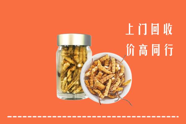 雅安回收冬虫夏草